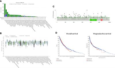 Alpha Thalassemia/Intellectual Disability X-Linked Deficiency Sensitizes Non-Small Cell Lung Cancer to Immune Checkpoint Inhibitors